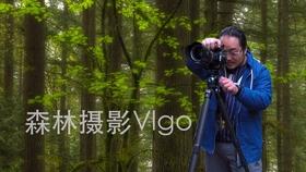 森系丛林