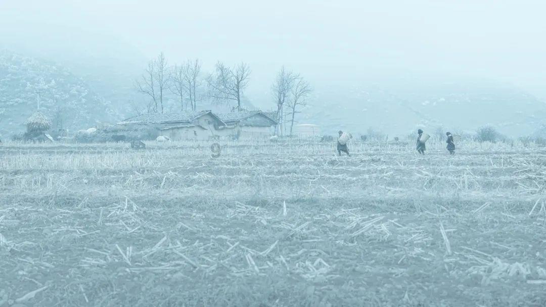 碧水映白鹅，红掌拨清波是哪首诗？？游戏画面